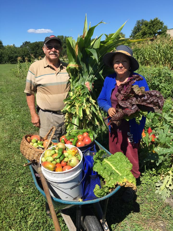 Pushing the Envelope Farm bounty